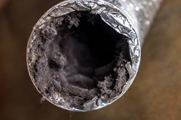 Air Duct Mold Removal in Franklin Park, IL