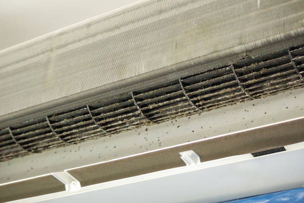 Best Home Air Vent Cleaning  in Franklin Park, IL
